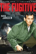 Watch The Fugitive Freemovieswatch